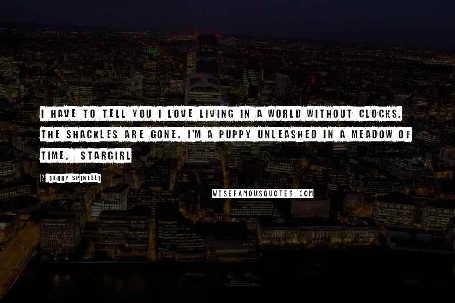 Jerry Spinelli Quotes: I have to tell you I love living in a world without clocks. The shackles are gone. I'm a puppy unleashed in a meadow of time.  Stargirl