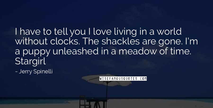 Jerry Spinelli Quotes: I have to tell you I love living in a world without clocks. The shackles are gone. I'm a puppy unleashed in a meadow of time.  Stargirl