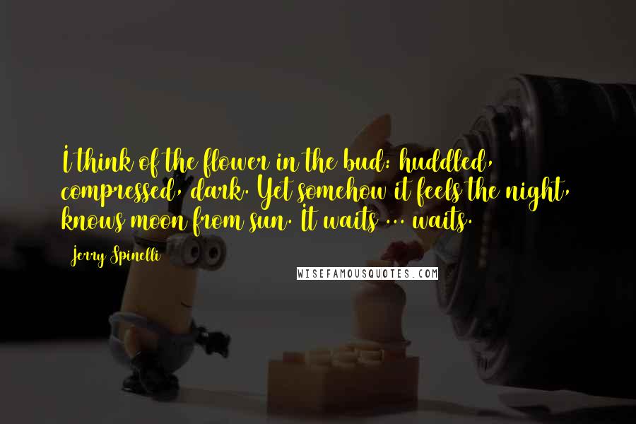 Jerry Spinelli Quotes: I think of the flower in the bud: huddled, compressed, dark. Yet somehow it feels the night, knows moon from sun. It waits ... waits.