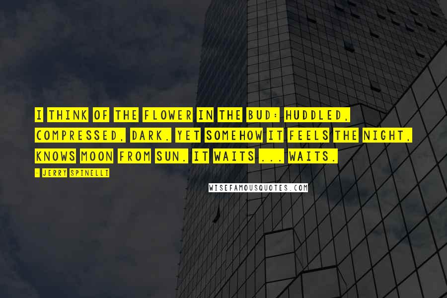Jerry Spinelli Quotes: I think of the flower in the bud: huddled, compressed, dark. Yet somehow it feels the night, knows moon from sun. It waits ... waits.