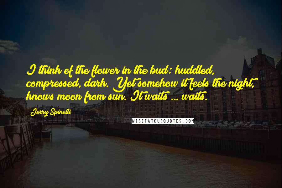 Jerry Spinelli Quotes: I think of the flower in the bud: huddled, compressed, dark. Yet somehow it feels the night, knows moon from sun. It waits ... waits.