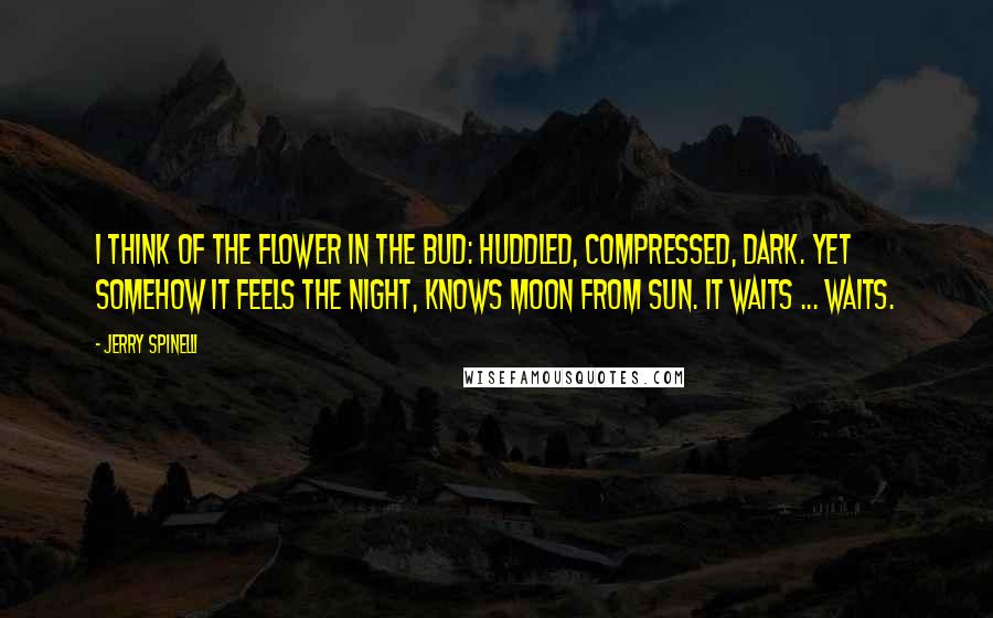 Jerry Spinelli Quotes: I think of the flower in the bud: huddled, compressed, dark. Yet somehow it feels the night, knows moon from sun. It waits ... waits.