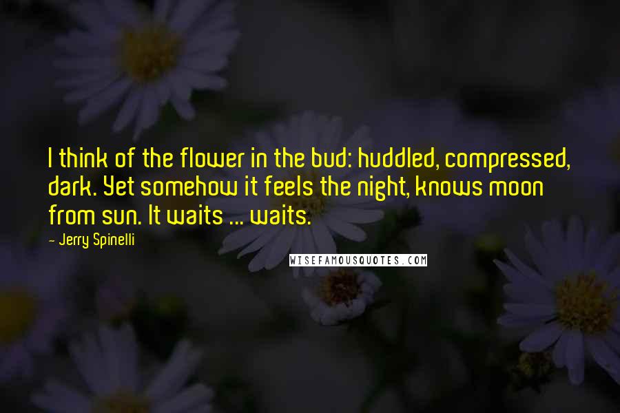 Jerry Spinelli Quotes: I think of the flower in the bud: huddled, compressed, dark. Yet somehow it feels the night, knows moon from sun. It waits ... waits.