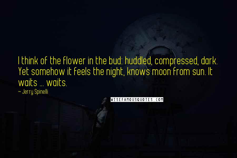 Jerry Spinelli Quotes: I think of the flower in the bud: huddled, compressed, dark. Yet somehow it feels the night, knows moon from sun. It waits ... waits.