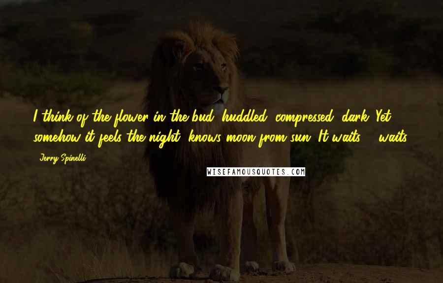 Jerry Spinelli Quotes: I think of the flower in the bud: huddled, compressed, dark. Yet somehow it feels the night, knows moon from sun. It waits ... waits.