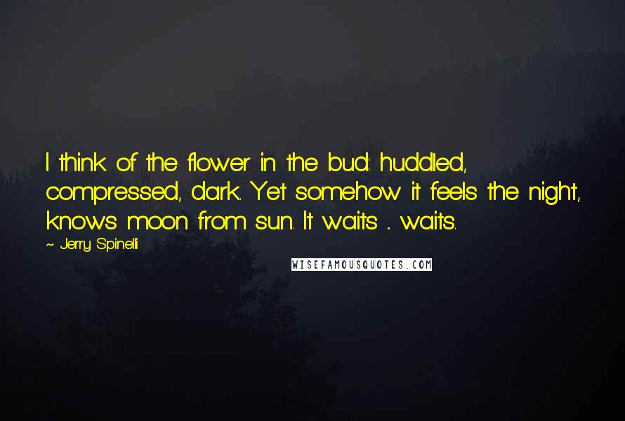 Jerry Spinelli Quotes: I think of the flower in the bud: huddled, compressed, dark. Yet somehow it feels the night, knows moon from sun. It waits ... waits.