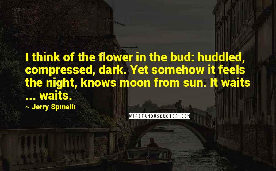 Jerry Spinelli Quotes: I think of the flower in the bud: huddled, compressed, dark. Yet somehow it feels the night, knows moon from sun. It waits ... waits.