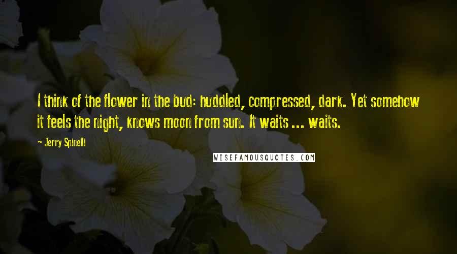 Jerry Spinelli Quotes: I think of the flower in the bud: huddled, compressed, dark. Yet somehow it feels the night, knows moon from sun. It waits ... waits.