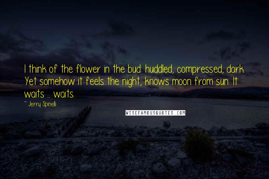 Jerry Spinelli Quotes: I think of the flower in the bud: huddled, compressed, dark. Yet somehow it feels the night, knows moon from sun. It waits ... waits.