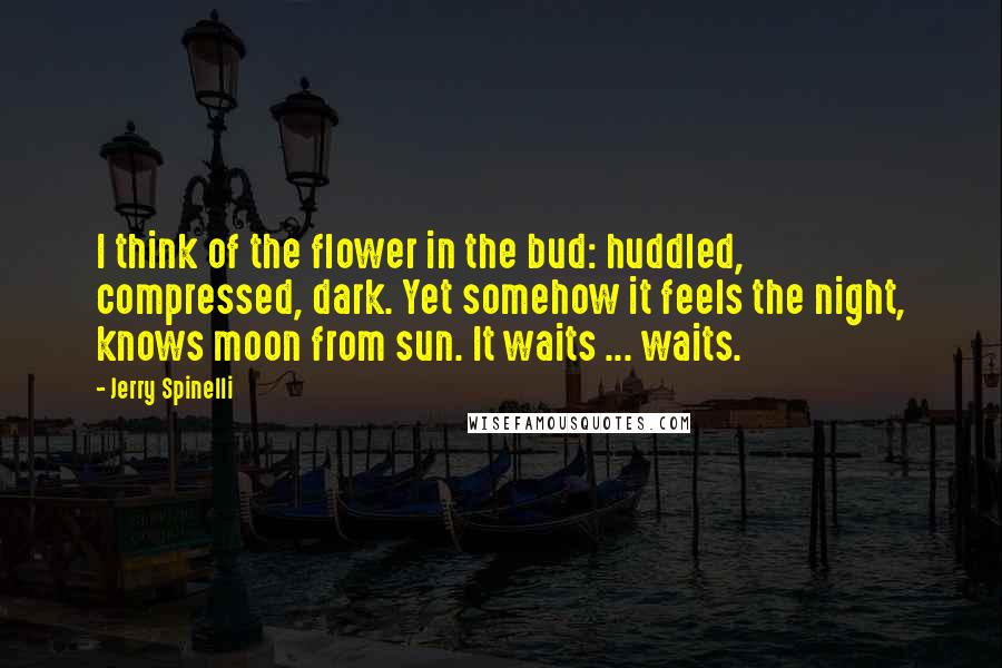 Jerry Spinelli Quotes: I think of the flower in the bud: huddled, compressed, dark. Yet somehow it feels the night, knows moon from sun. It waits ... waits.