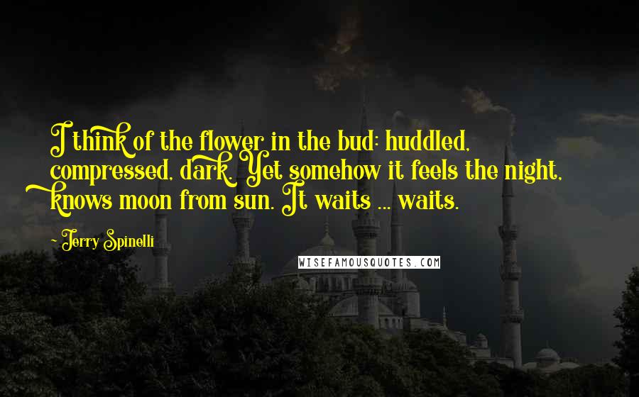 Jerry Spinelli Quotes: I think of the flower in the bud: huddled, compressed, dark. Yet somehow it feels the night, knows moon from sun. It waits ... waits.