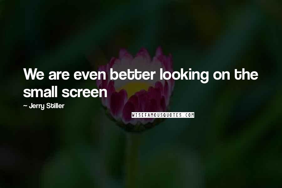 Jerry Stiller Quotes: We are even better looking on the small screen