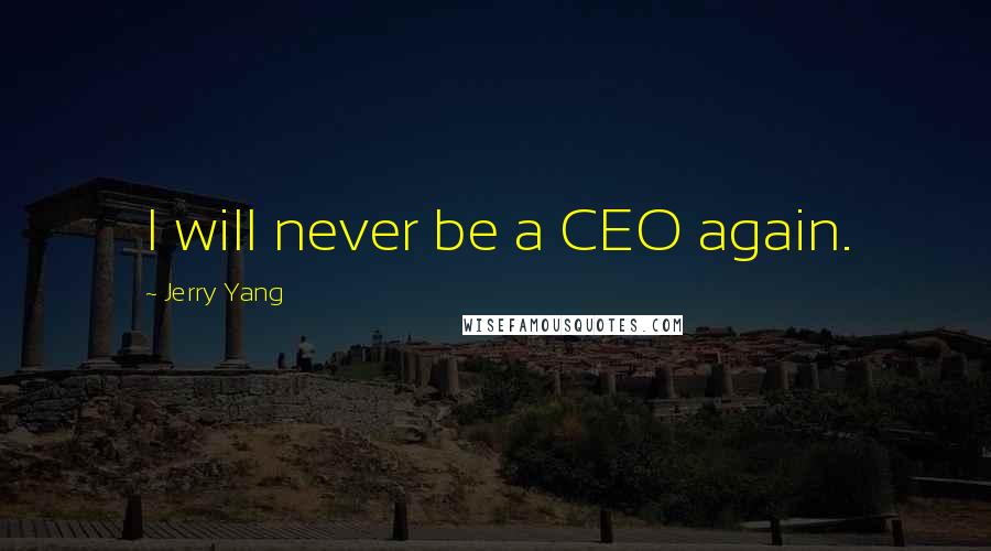 Jerry Yang Quotes: I will never be a CEO again.