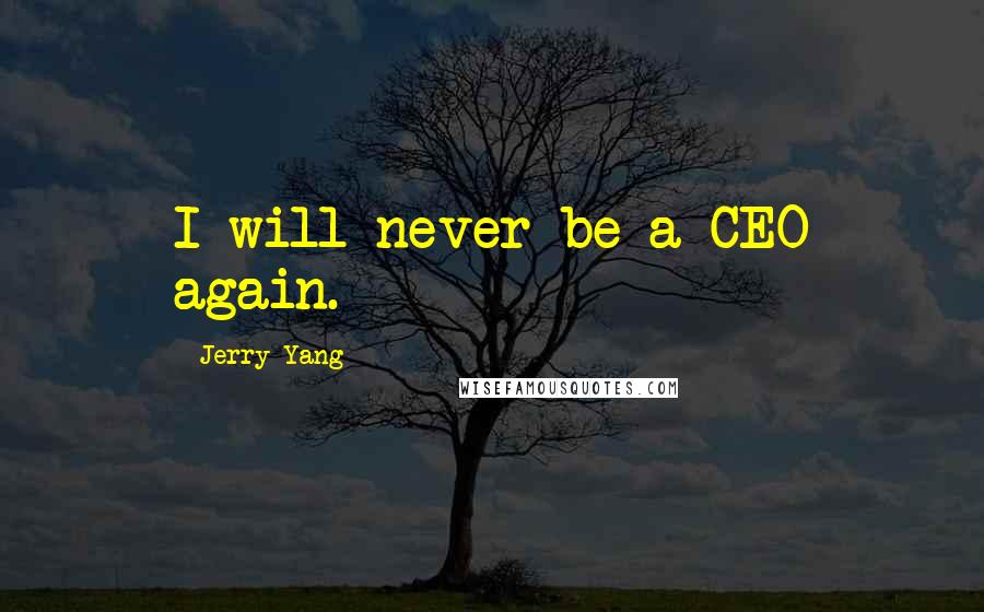 Jerry Yang Quotes: I will never be a CEO again.