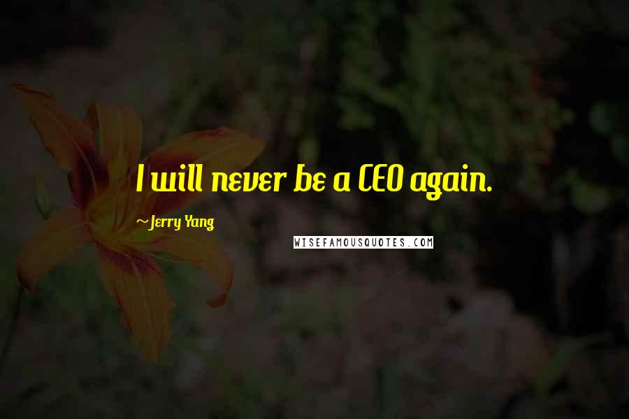 Jerry Yang Quotes: I will never be a CEO again.