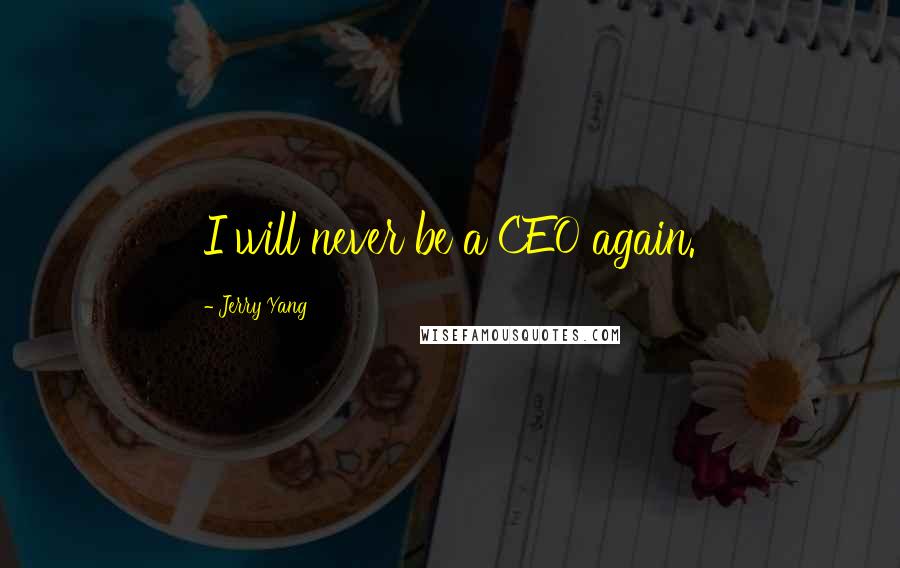 Jerry Yang Quotes: I will never be a CEO again.