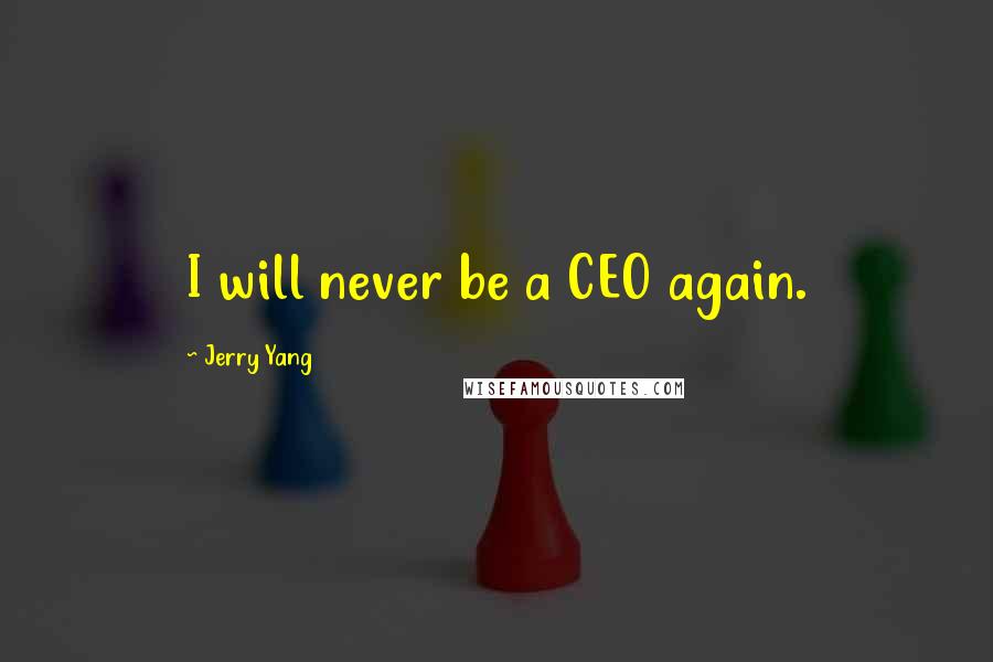 Jerry Yang Quotes: I will never be a CEO again.