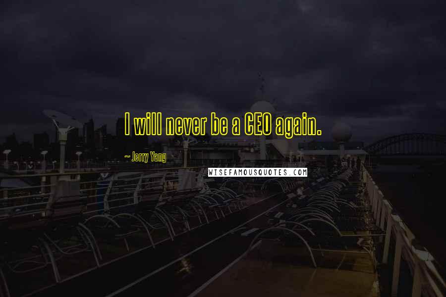 Jerry Yang Quotes: I will never be a CEO again.