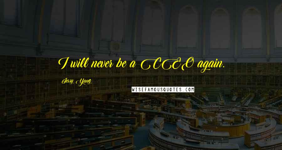 Jerry Yang Quotes: I will never be a CEO again.