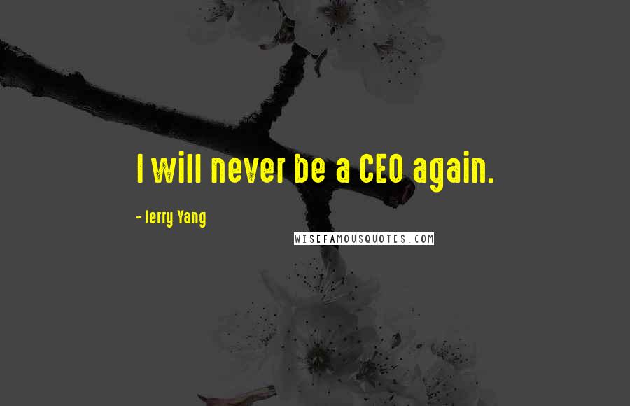 Jerry Yang Quotes: I will never be a CEO again.