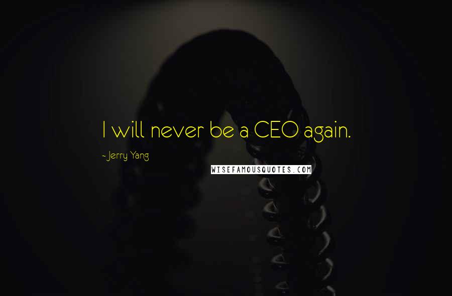 Jerry Yang Quotes: I will never be a CEO again.