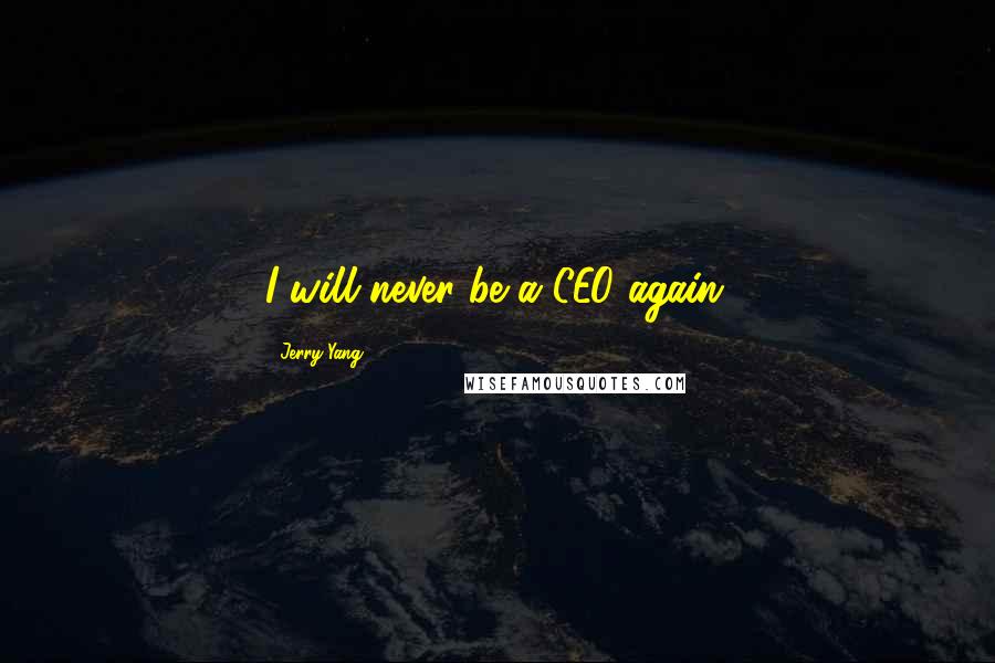 Jerry Yang Quotes: I will never be a CEO again.