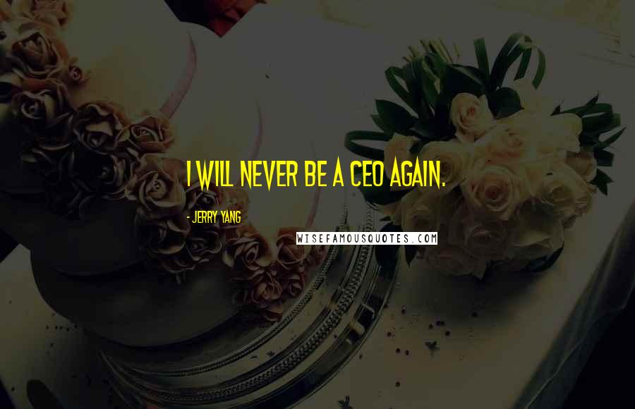 Jerry Yang Quotes: I will never be a CEO again.