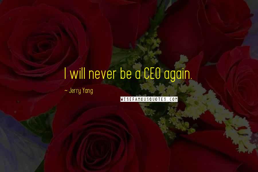 Jerry Yang Quotes: I will never be a CEO again.