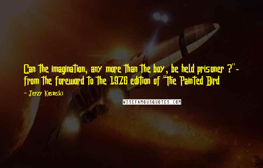 Jerzy Kosinski Quotes: Can the imagination, any more than the boy, be held prisoner ?"- from the foreword to the 1976 edition of "The Painted Bird
