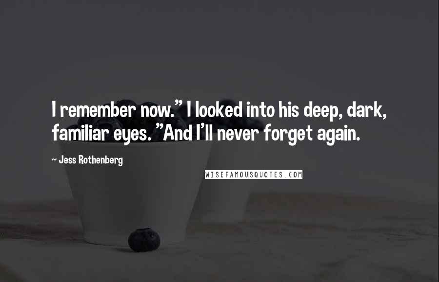 Jess Rothenberg Quotes: I remember now." I looked into his deep, dark, familiar eyes. "And I'll never forget again.