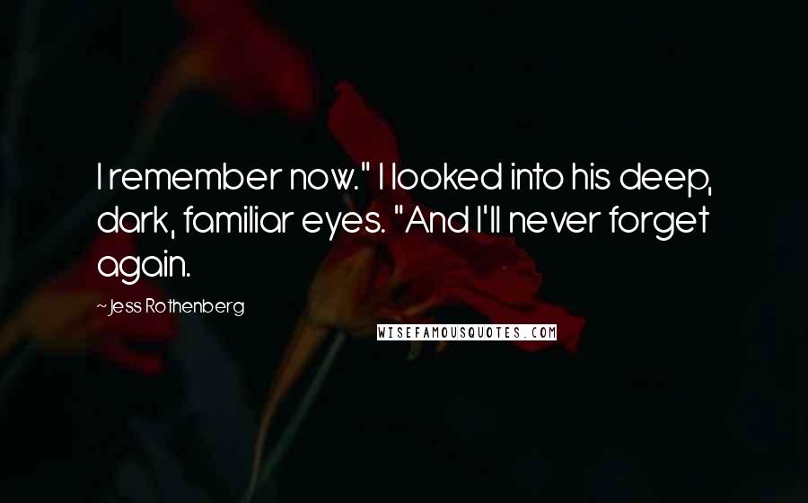 Jess Rothenberg Quotes: I remember now." I looked into his deep, dark, familiar eyes. "And I'll never forget again.
