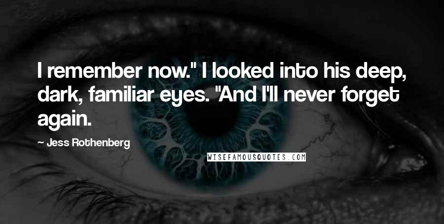 Jess Rothenberg Quotes: I remember now." I looked into his deep, dark, familiar eyes. "And I'll never forget again.