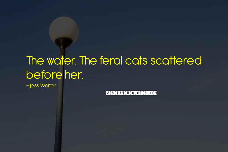 Jess Walter Quotes: The water. The feral cats scattered before her.
