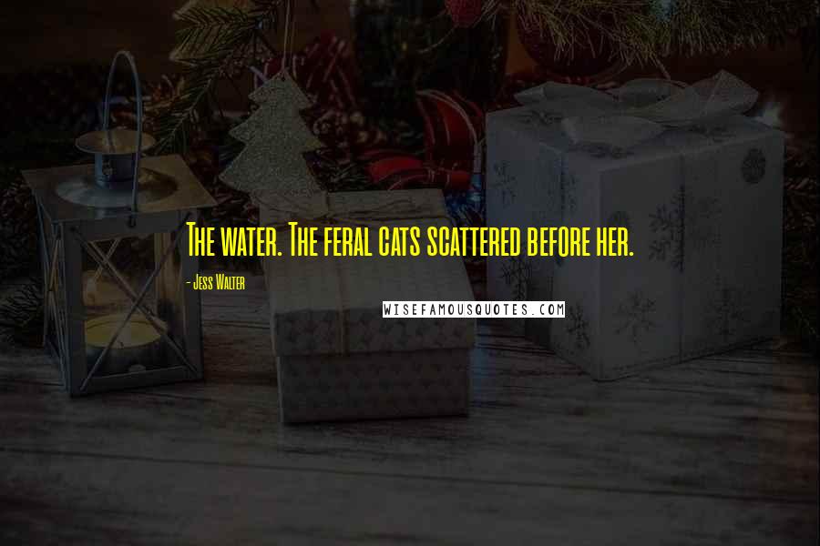 Jess Walter Quotes: The water. The feral cats scattered before her.