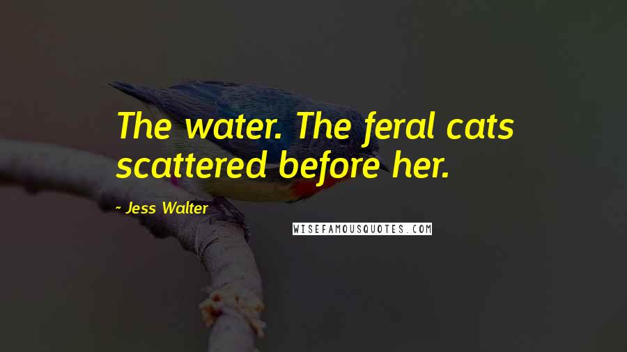 Jess Walter Quotes: The water. The feral cats scattered before her.