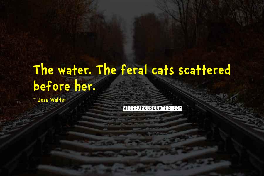 Jess Walter Quotes: The water. The feral cats scattered before her.