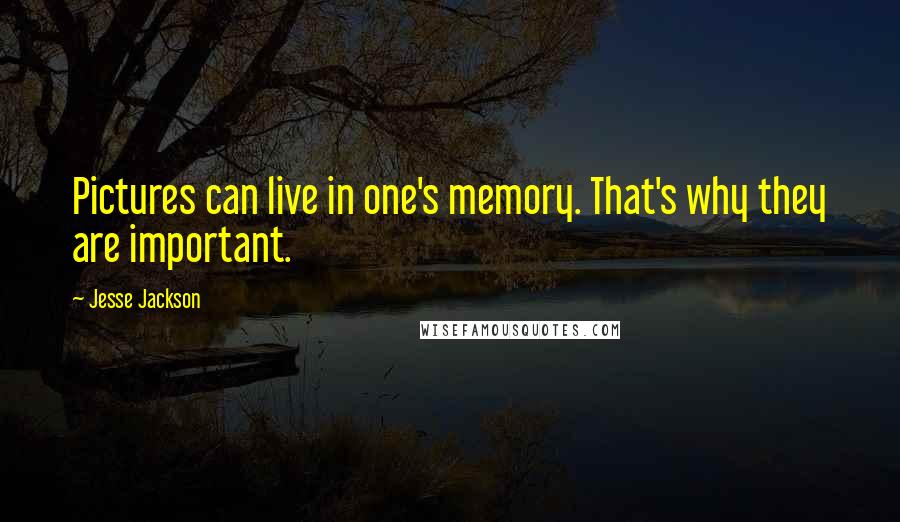 Jesse Jackson Quotes: Pictures can live in one's memory. That's why they are important.