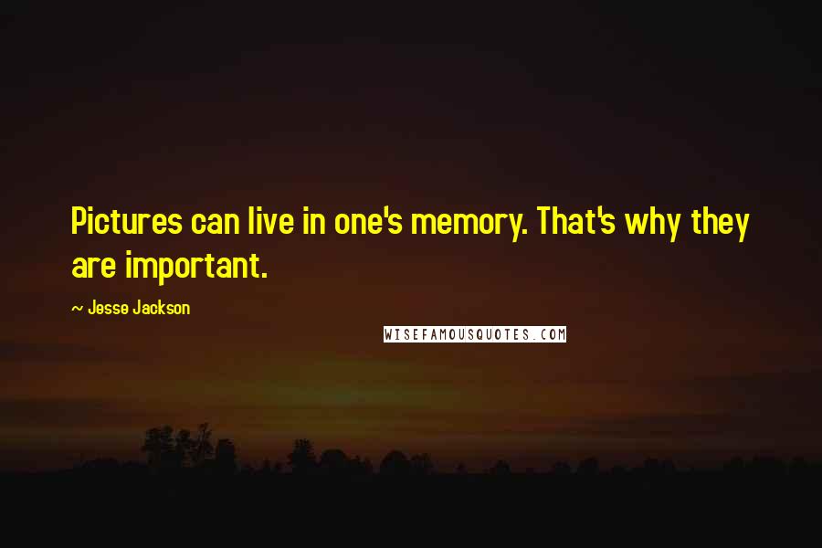 Jesse Jackson Quotes: Pictures can live in one's memory. That's why they are important.