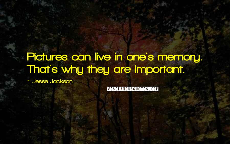 Jesse Jackson Quotes: Pictures can live in one's memory. That's why they are important.