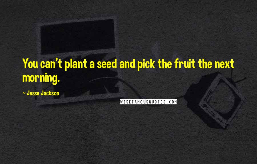 Jesse Jackson Quotes: You can't plant a seed and pick the fruit the next morning.