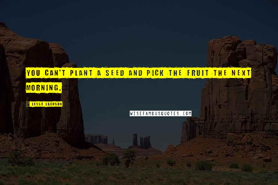Jesse Jackson Quotes: You can't plant a seed and pick the fruit the next morning.