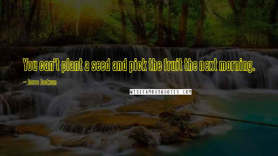 Jesse Jackson Quotes: You can't plant a seed and pick the fruit the next morning.