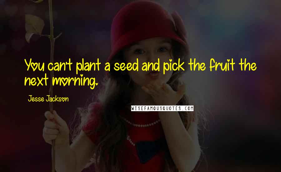 Jesse Jackson Quotes: You can't plant a seed and pick the fruit the next morning.