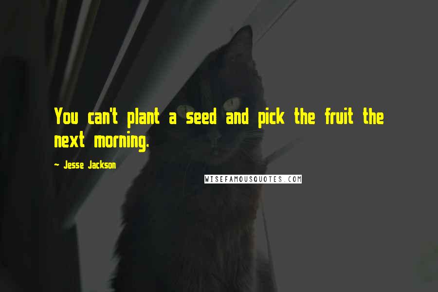 Jesse Jackson Quotes: You can't plant a seed and pick the fruit the next morning.
