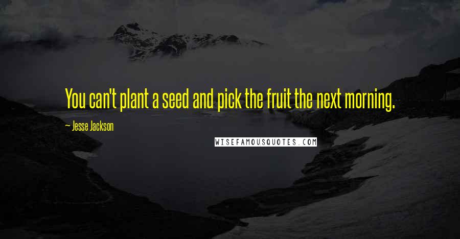 Jesse Jackson Quotes: You can't plant a seed and pick the fruit the next morning.