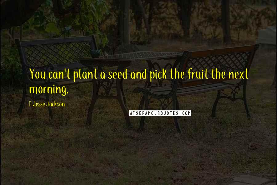 Jesse Jackson Quotes: You can't plant a seed and pick the fruit the next morning.
