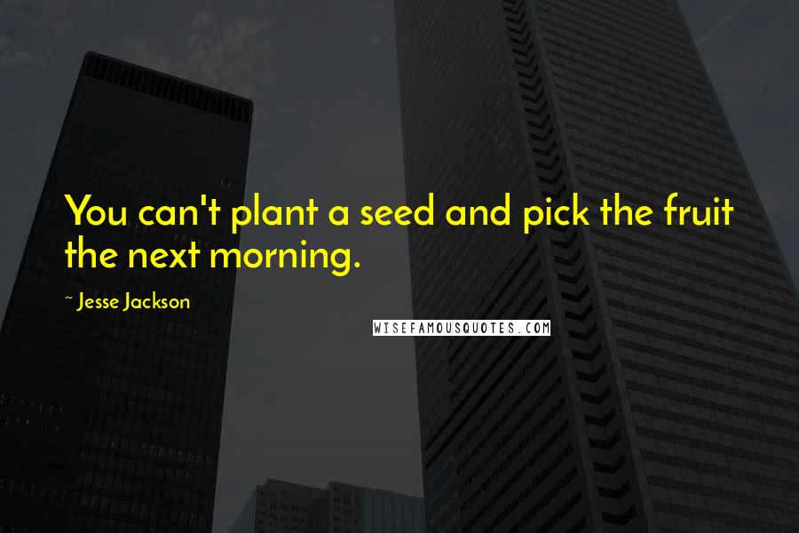 Jesse Jackson Quotes: You can't plant a seed and pick the fruit the next morning.