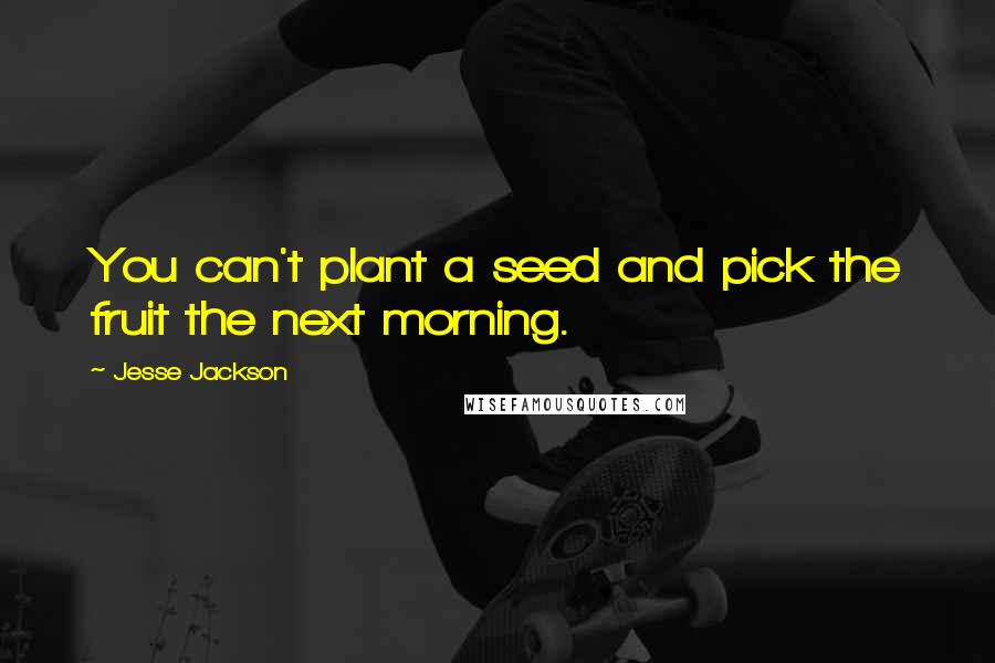 Jesse Jackson Quotes: You can't plant a seed and pick the fruit the next morning.