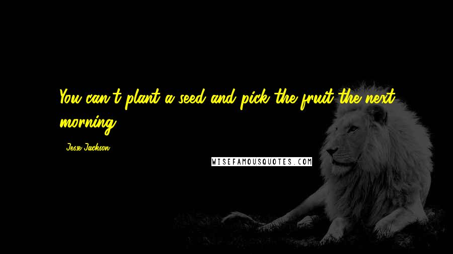 Jesse Jackson Quotes: You can't plant a seed and pick the fruit the next morning.