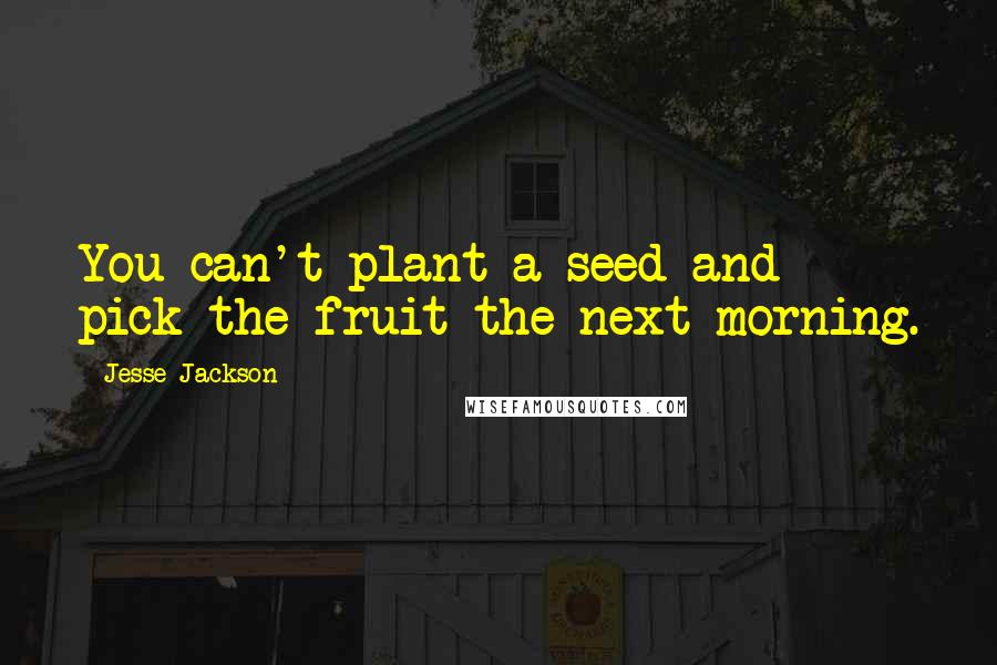 Jesse Jackson Quotes: You can't plant a seed and pick the fruit the next morning.